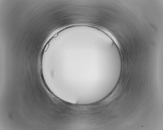 X0000115041101200912071104