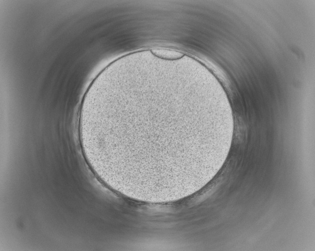 X0000115041102200912071104