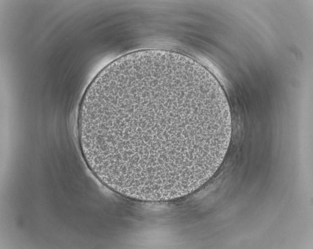 X0000115041103200912071104