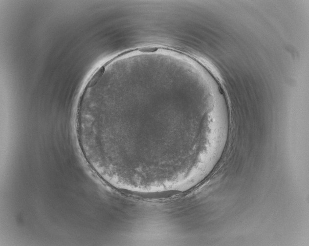 X0000115041104200912071104