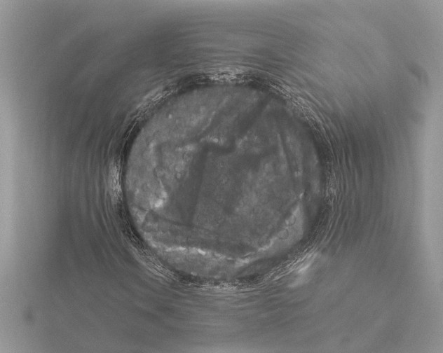 X0000115041106200912071103