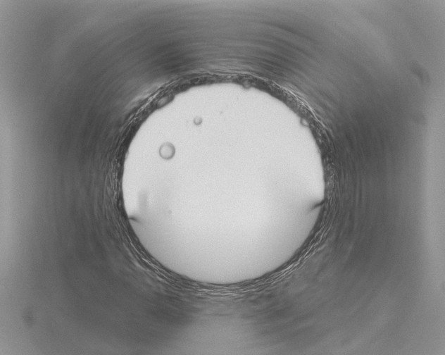 X0000115041110200912071103