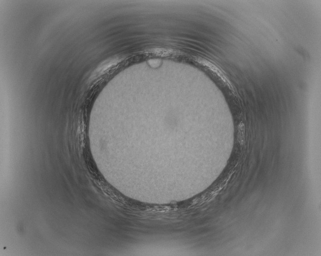 X0000115041111200912071103