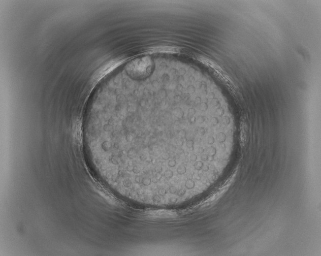 X0000115041113200912071103