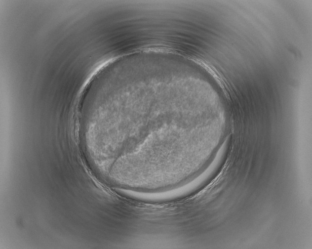 X0000115041115200912071104