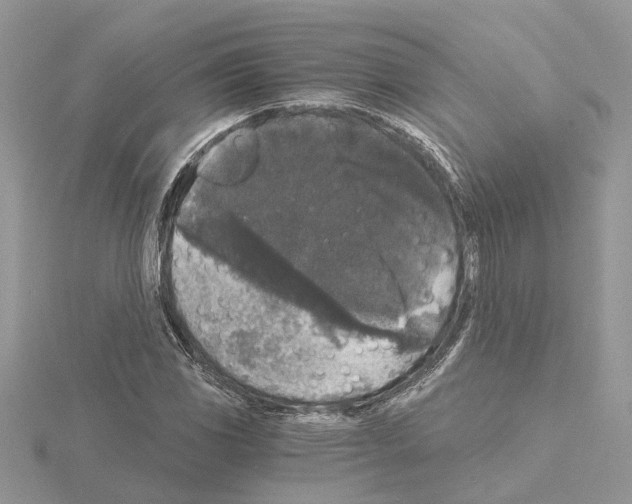 X0000115041117200912071104