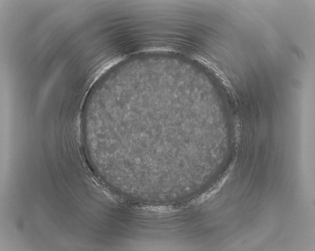 X0000115041121200912071104