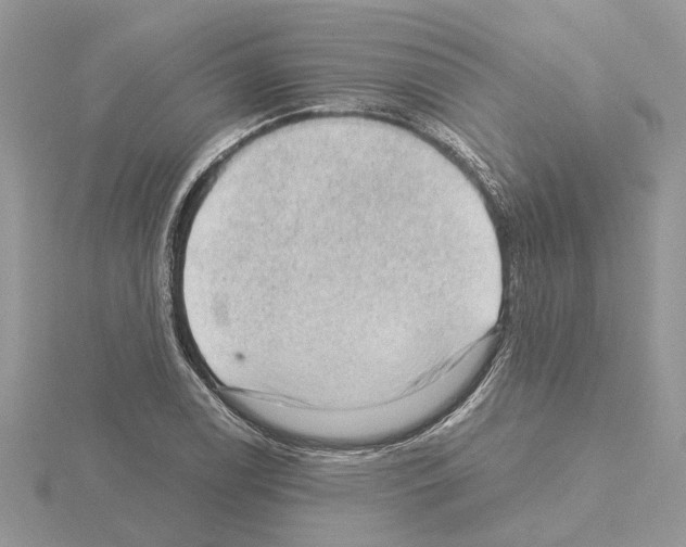 X0000115041122200912071104