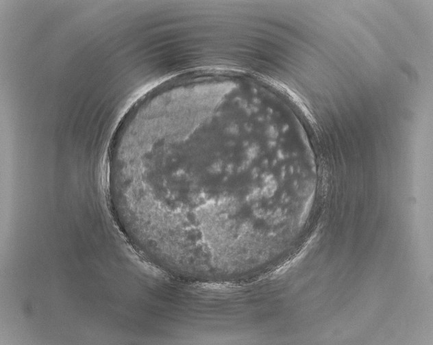 X0000115041125200912071104