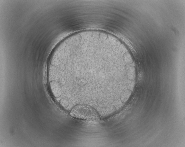 X0000115041126200912071104