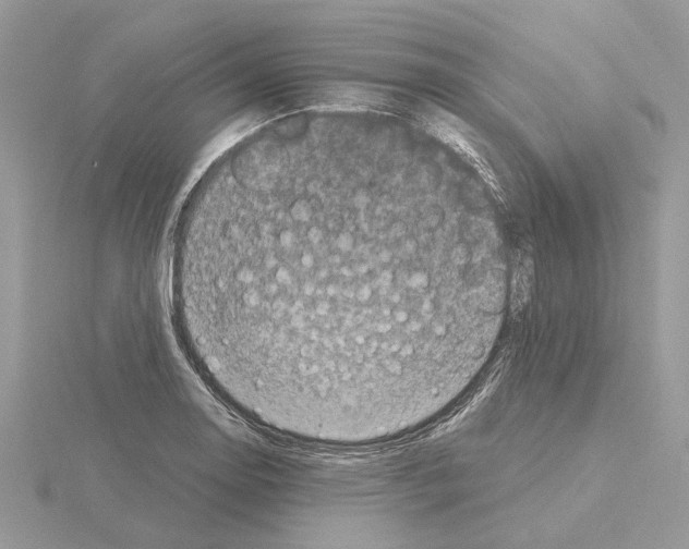 X0000115041130200912071104