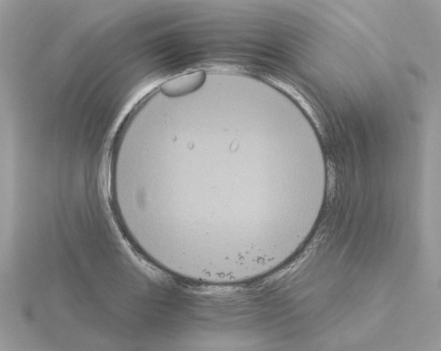 X0000115041131200912071104