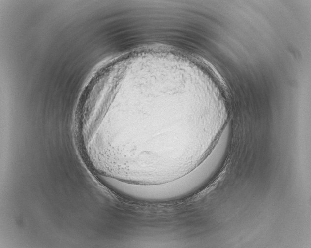 X0000115041133200912071104