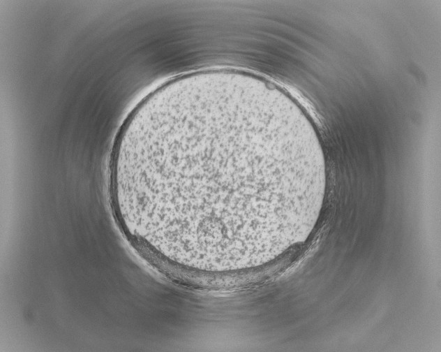 X0000115041134200912071104