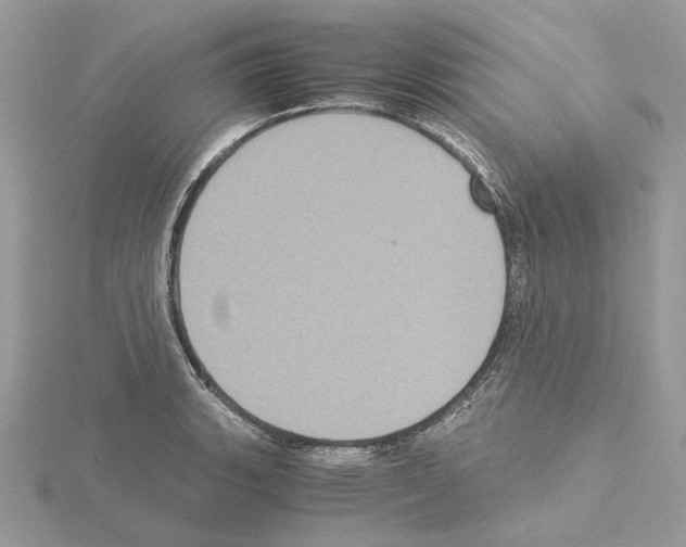 X0000115041135200912071104