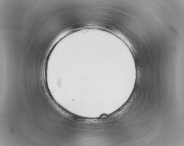 X0000115041142200912071104