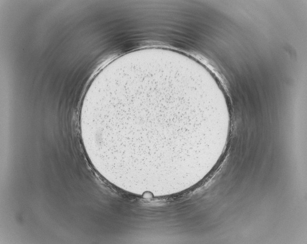 X0000115041145200912071104