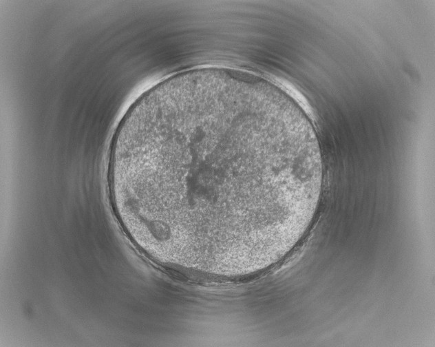 X0000115041146200912071104