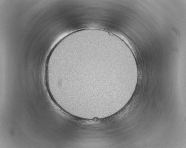 X0000115041147200912071104