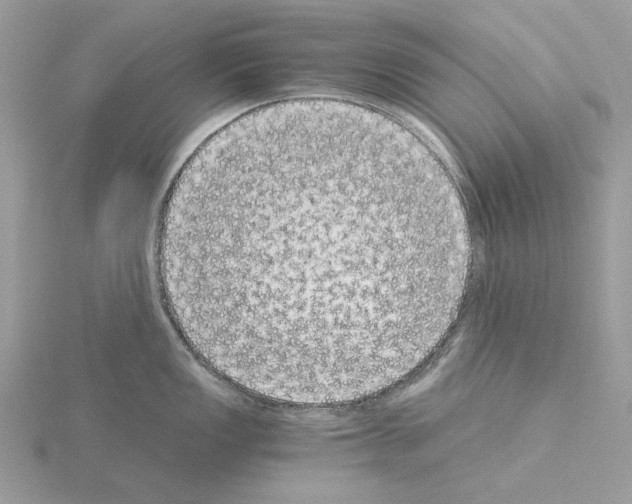 X0000115041149200912071104