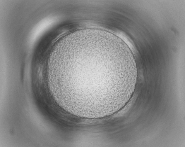 X0000115041150200912071104