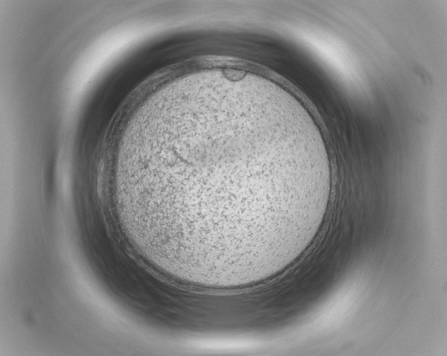 X0000115041151200912071104