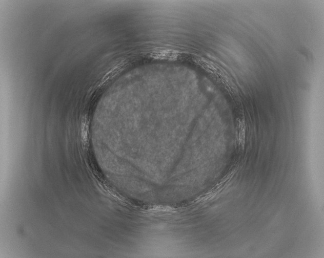 X0000115041154200912071103