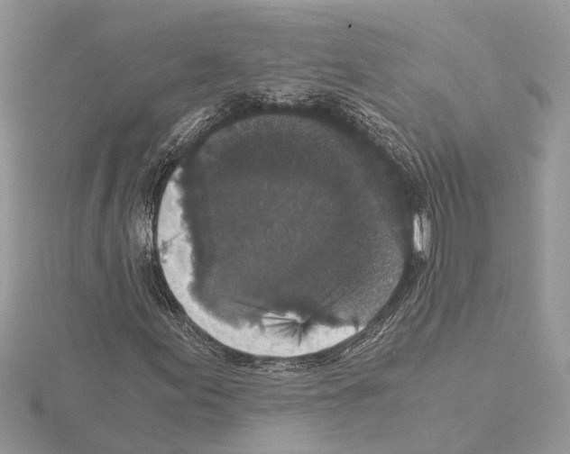 X0000115041155200912071103