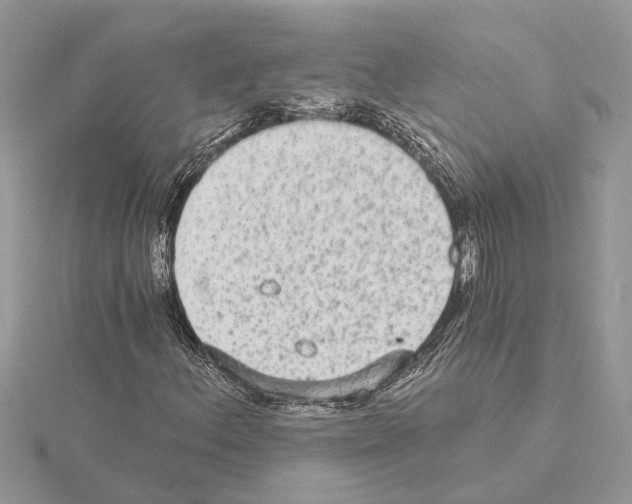 X0000115041156200912071103