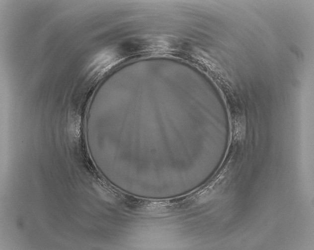 X0000115041161200912071103