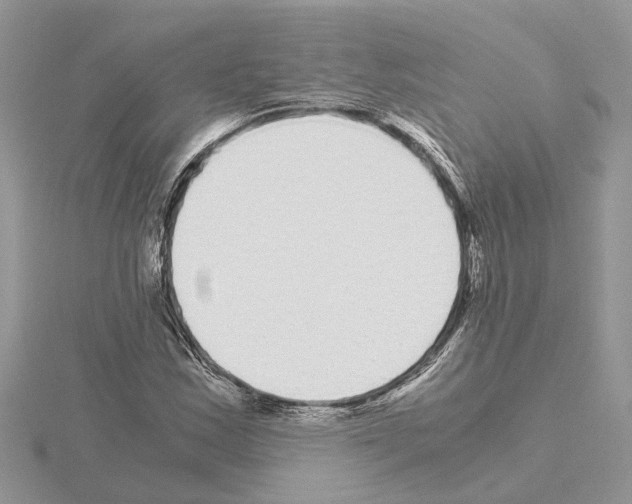 X0000115041163200912071103