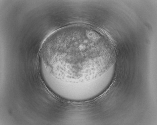 X0000115041164200912071103