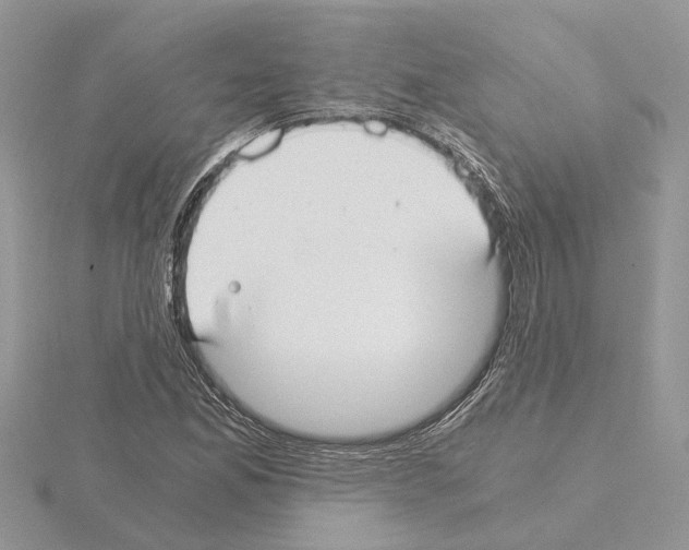 X0000115041165200912071103