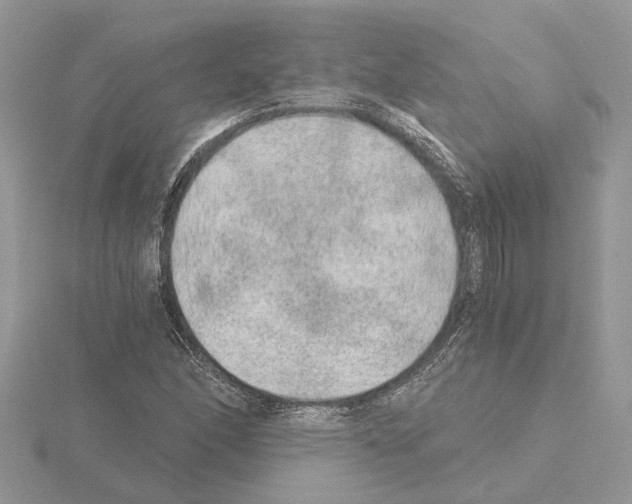 X0000115041166200912071103