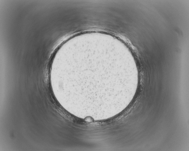 X0000115041167200912071103