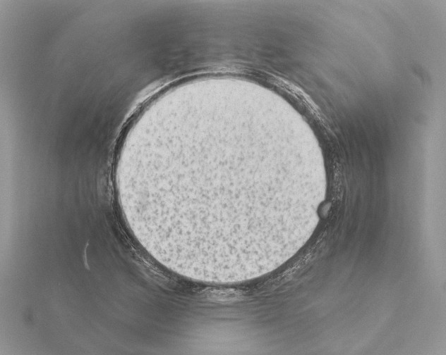 X0000115041168200912071103