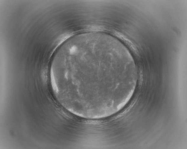 X0000115041170200912071103