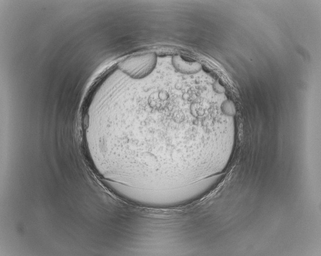 X0000115041172200912071103