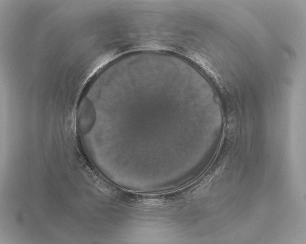 X0000115041173200912071103