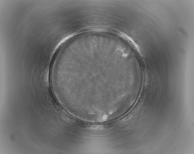 X0000115041174200912071103