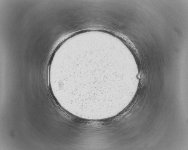 X0000115041175200912071103