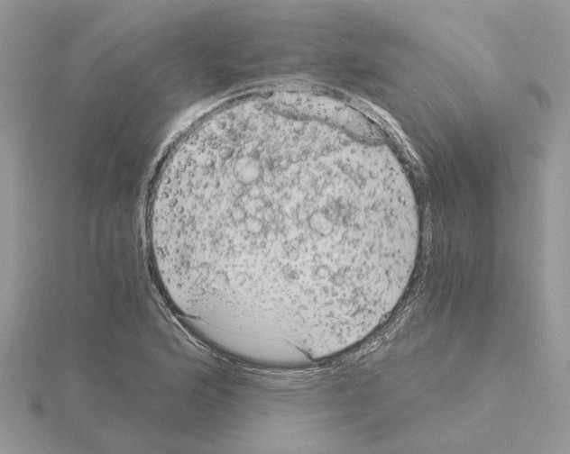 X0000115041176200912071103