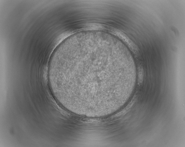 X0000115041178200912071103