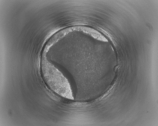 X0000115041179200912071103