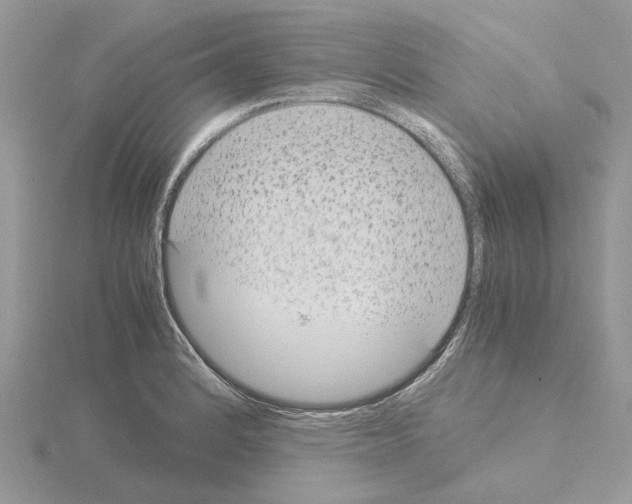 X0000115041184200912071103