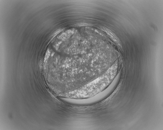 X0000115041185200912071103