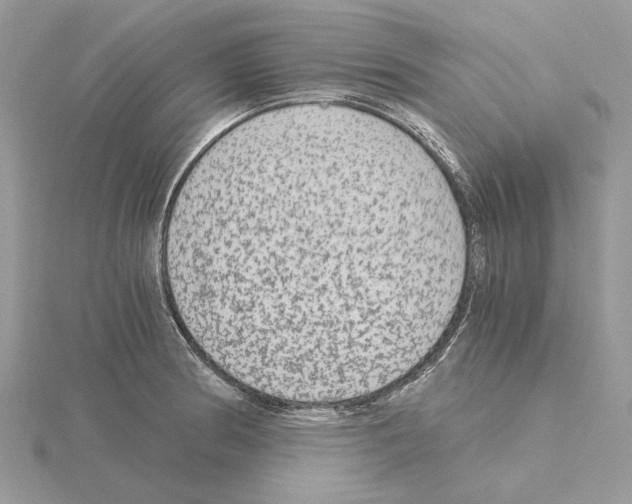 X0000115041186200912071103