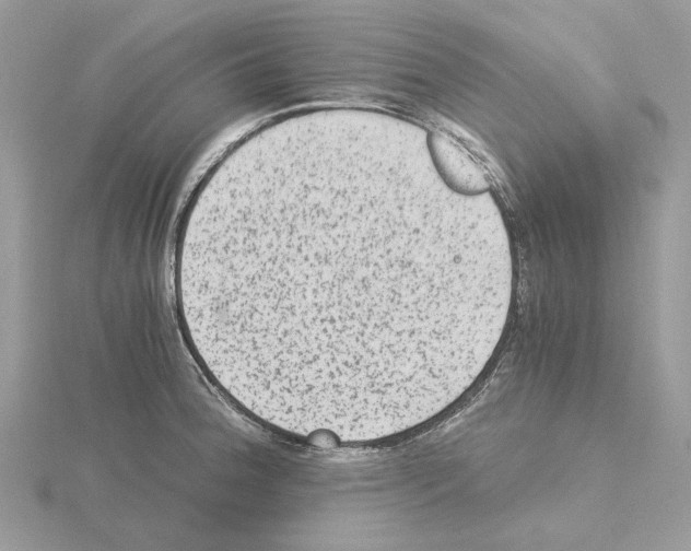 X0000115041188200912071103