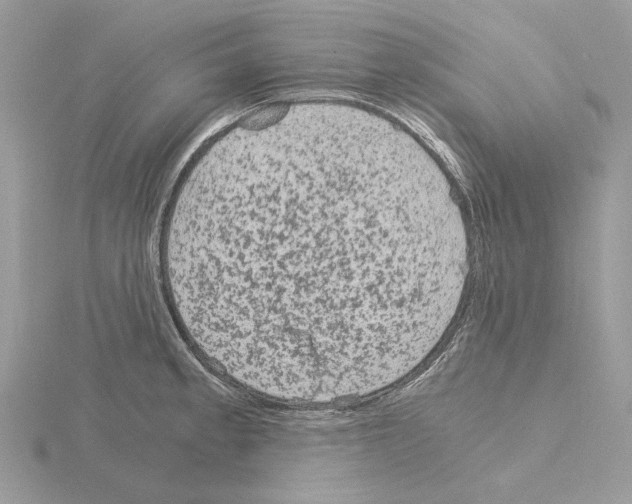 X0000115041189200912071103