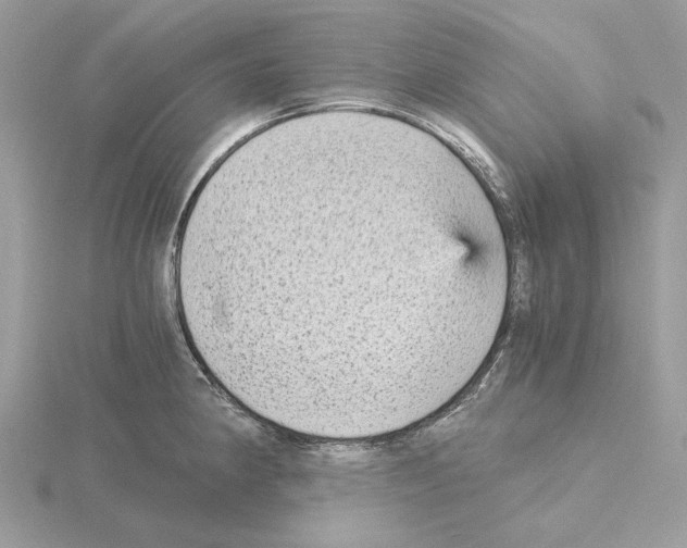 X0000115041190200912071103